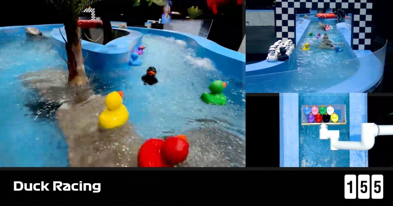 155 io Duck Racing live-kasinopeli