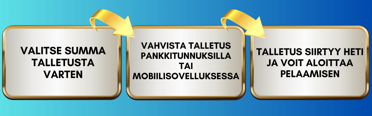 Ohjeet Zimpler talletuksen tekemiseen